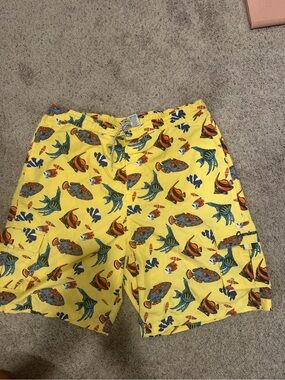 Men's Yellow Tropical Fish Swim Trunks